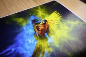 Satin paper finish for custom photo prints — semi-gloss surface with vibrant colors