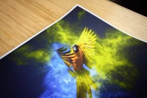 Fine art matte paper for custom photo prints — no reflection accurate color reproduction