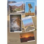 Multi-Photo Prints | Great For Smartphone Photos