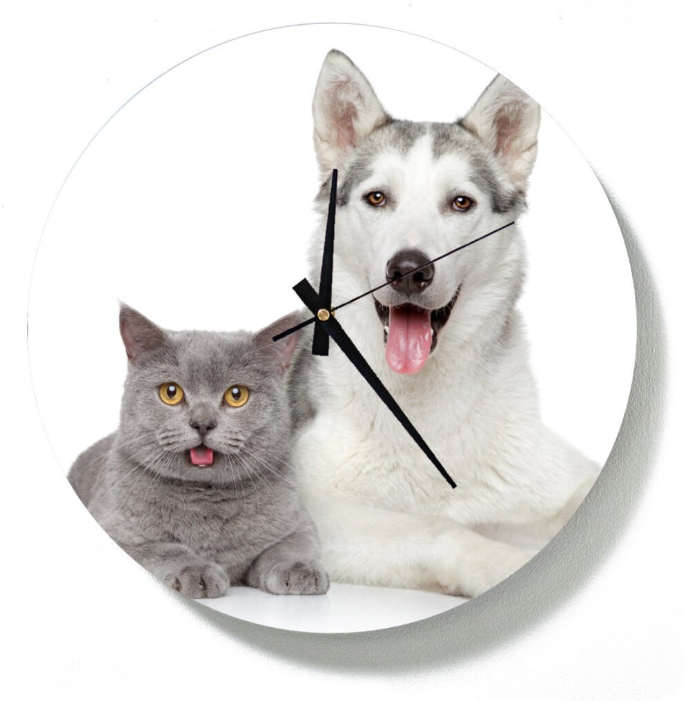 Happy Dog with his Friend In A Shape Of A Clock - Image 2