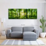 Panorama of a forest with sun rays