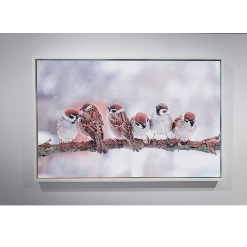 Little bird on branch - canvas - framed