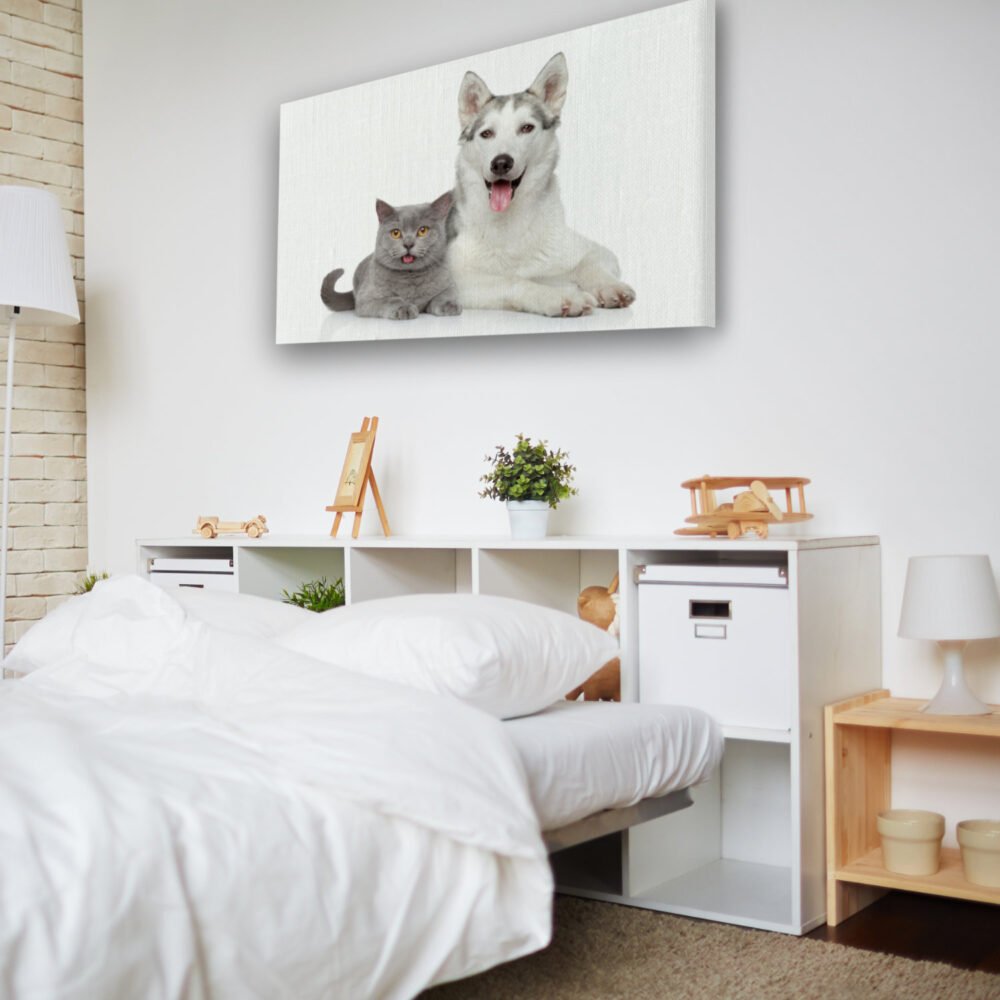 Picture of a Dog and cat - Image 2