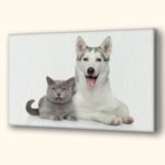 Picture of a Dog and cat