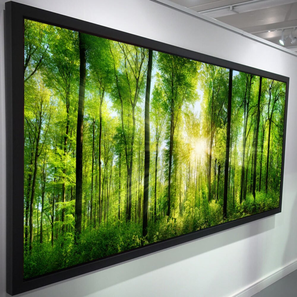 Panorama of a forest with a sunray - framed canvas