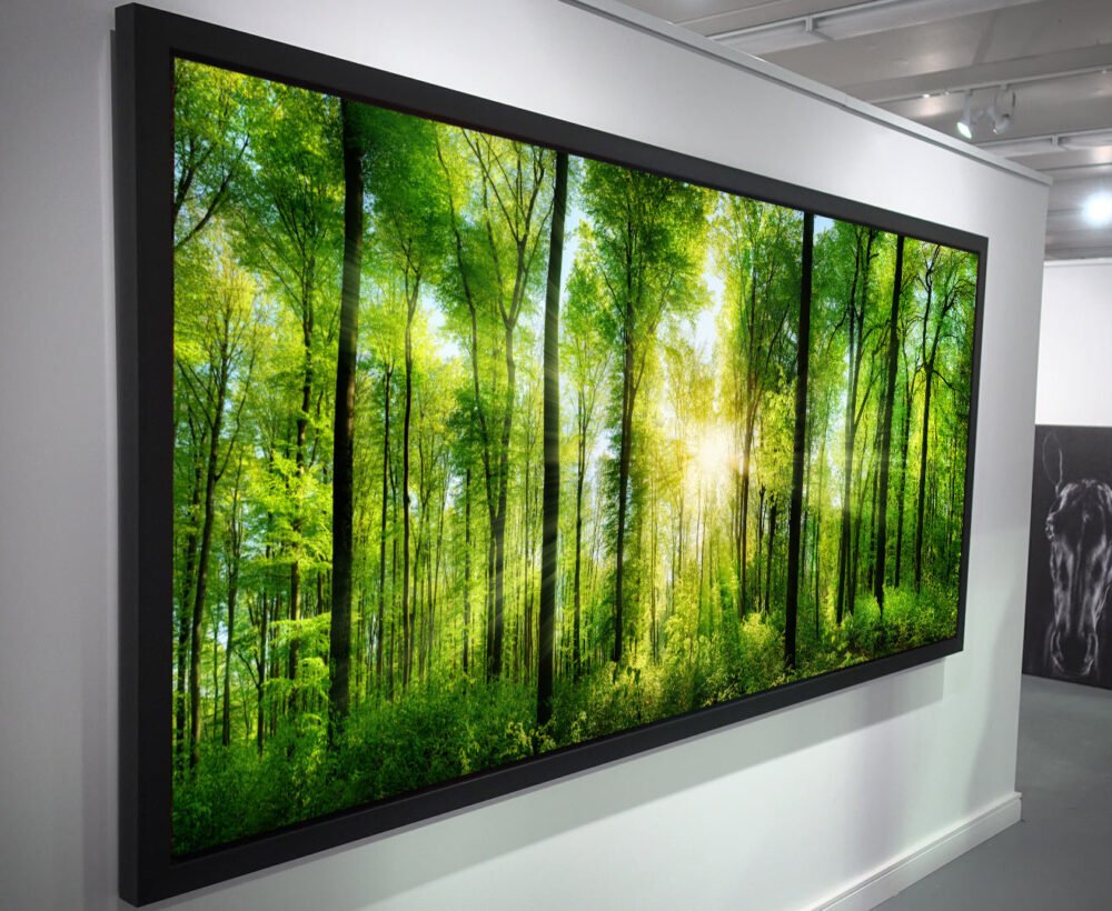 Panorama of a forest with a sunray - framed canvas