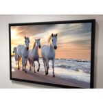 canvas of White horse in Camargue, France - floated frame