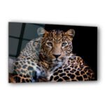 Portrait Of Leopard - HD Metal