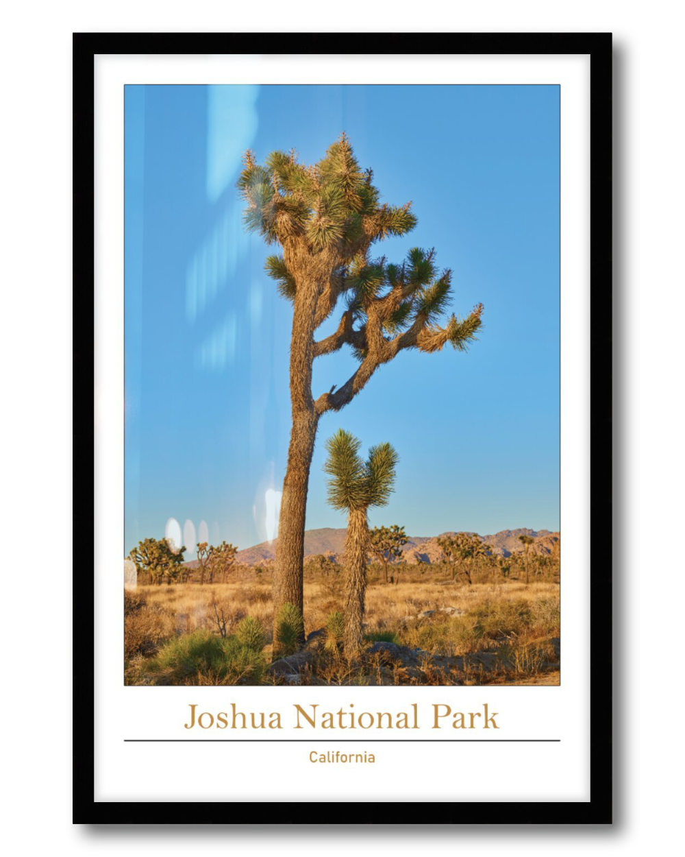 framed travel poster of Joshua tree national park
