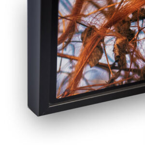 Dye Sublimation Chromaluxe with decorative frame